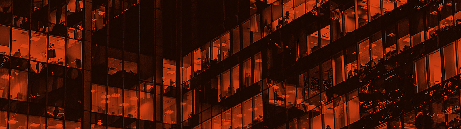 people in the offices