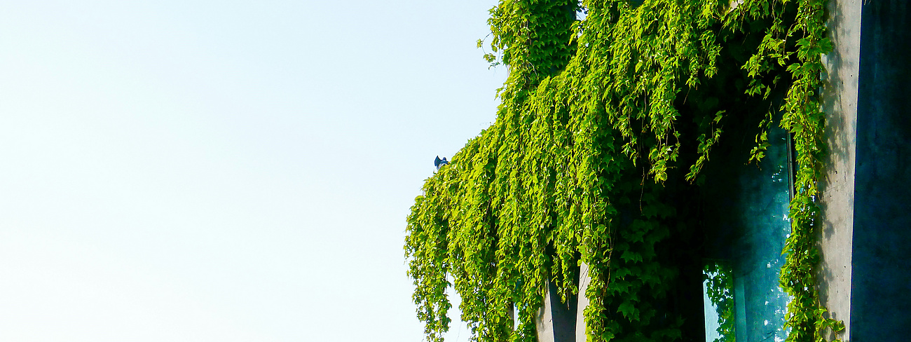 green building with blue sky