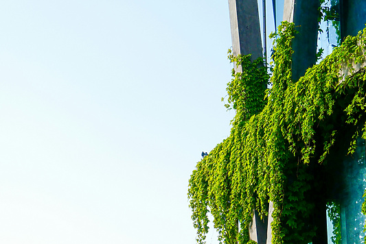 green building with blue sky