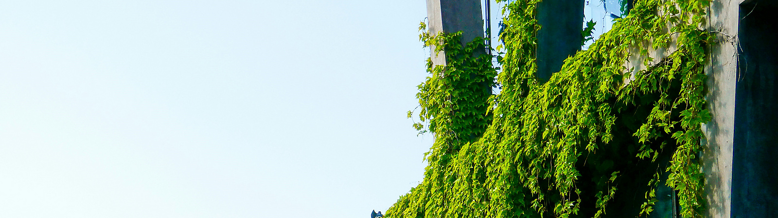 green building with blue sky