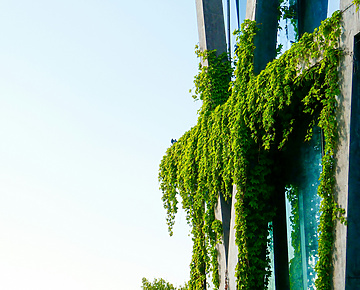 green building with blue sky