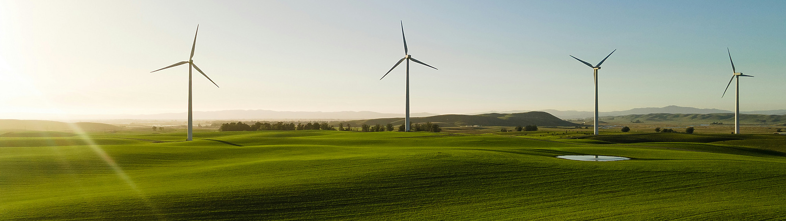 a wind turbines in a field with a Wind Farm in the background