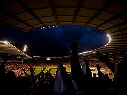 Sports crowd, cheering at the football