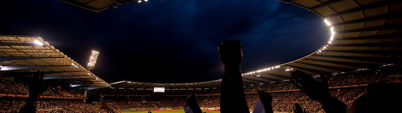 Sports crowd, cheering at the football