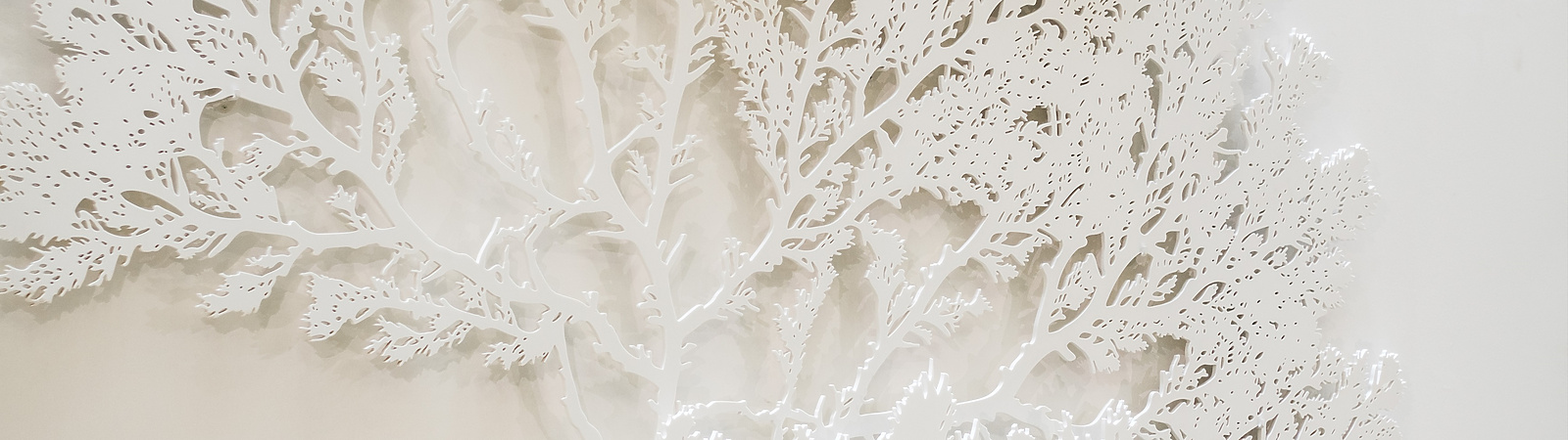 Mishcon office interior