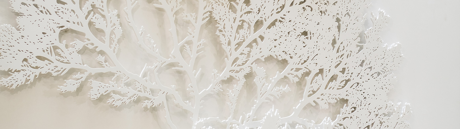 Mishcon office interior