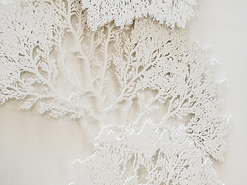 Mishcon office interior