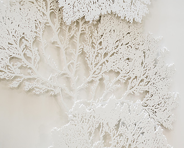 Mishcon office interior