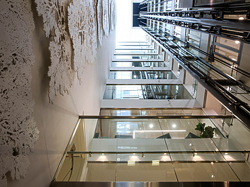 a glass elevator in africa house