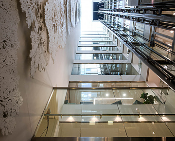a glass elevator in africa house
