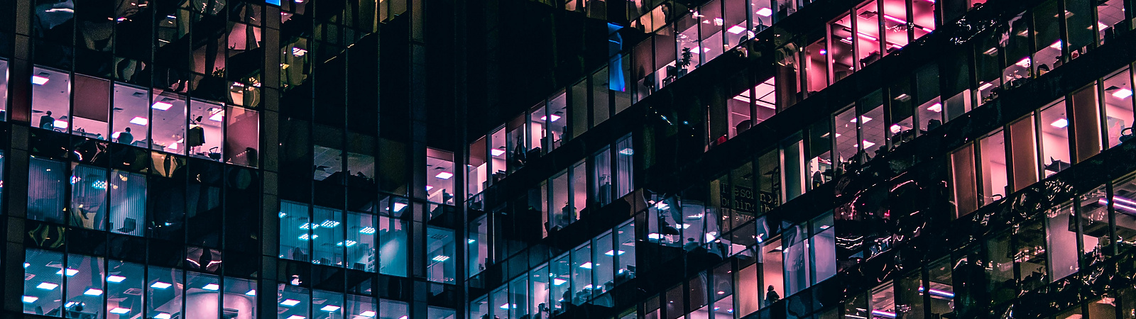 Profit with purpose – the new norm