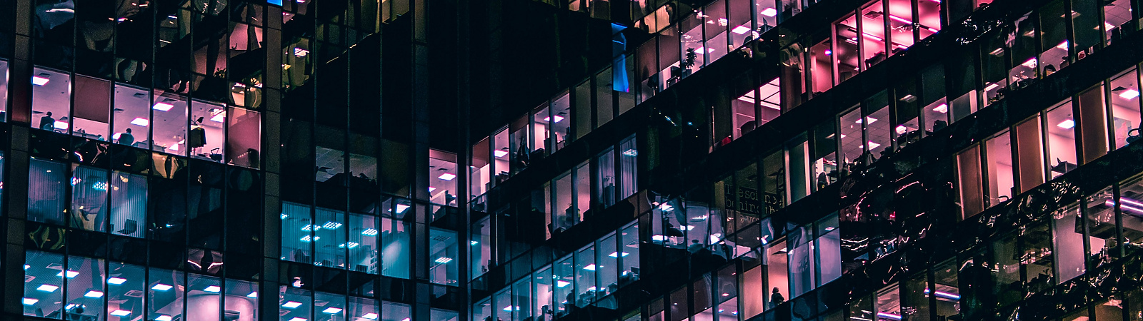 Profit with purpose – the new norm