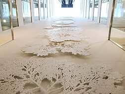 a white floor with trees on it