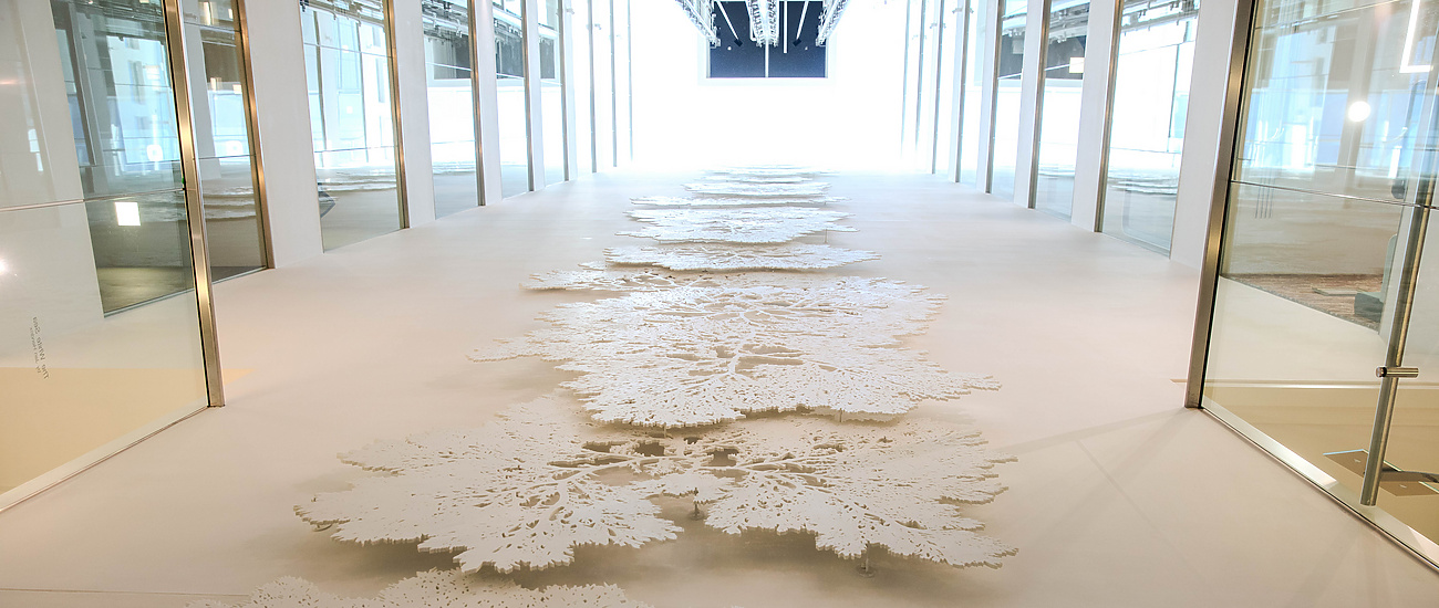 a white floor with trees on it
