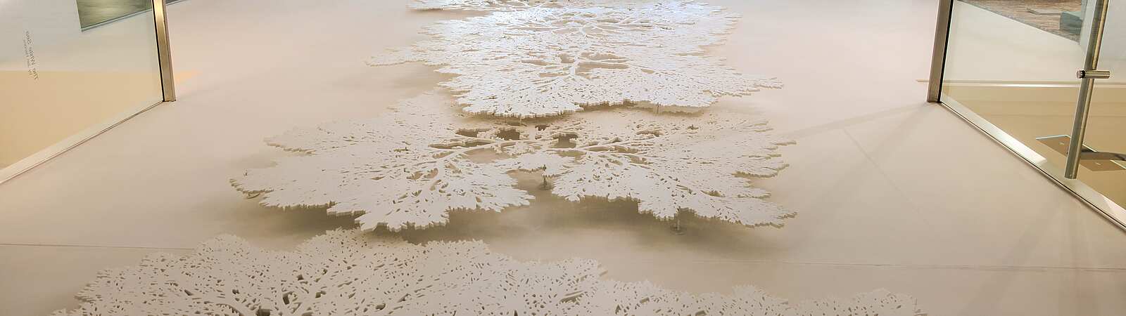 a white floor with trees on it