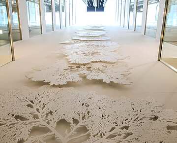 a white floor with trees on it