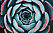 MDR One banner