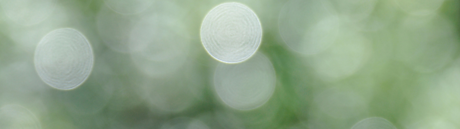 Blurry green circles
