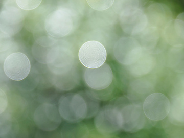 Blurry green circles