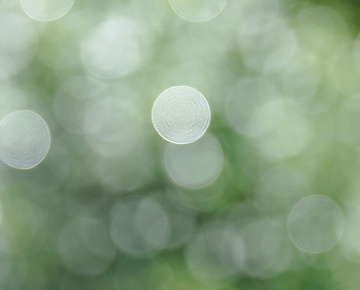 Blurry green circles