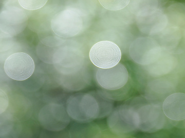 Blurry green circles