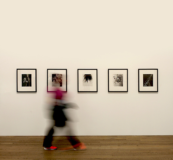Art Gallery viewer